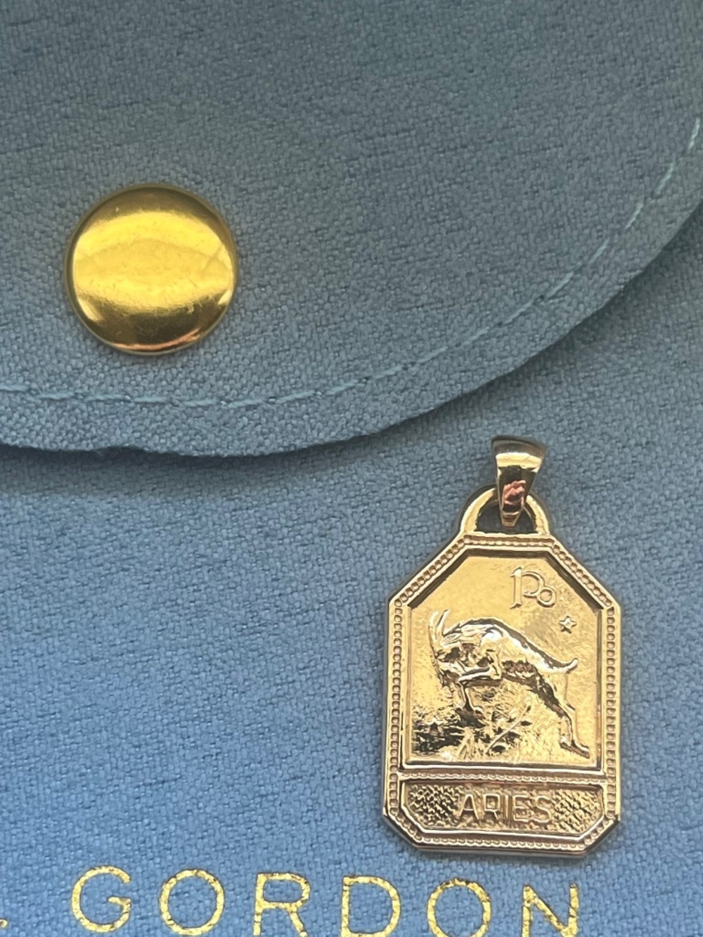 Ariel Gordon 14K Gold Aries Ram Zodiac Dog Tag Pendant Necklace Charm